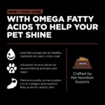 Go! Solutions Skin + Coat Care Large Breed Puppy Salmon Dry Dog Food, photo 5