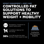 Go! Solutions Weight Management + Joint Care Chicken Grain-Free Dry Dog Food, photo 3