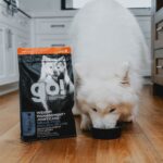 Go! Solutions Weight Management + Joint Care Chicken Grain-Free Dry Dog Food, photo 2
