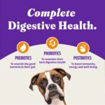 Halo Holistic Grain Free Cage-Free Chicken & Sweet Potato Recipe Senior Dry Dog Food, photo 8