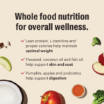 The Honest Kitchen Grain Free Beef Whole Food Clusters for Small Breeds Dry Dog Food, photo 6