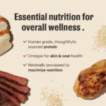 The Honest Kitchen Whole Grain Beef & Chicken Essential Clusters Dry Dog Food, photo 5