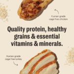 The Honest Kitchen Whole Grain Turkey & Chicken Essential Clusters Dry Dog Food, photo 3