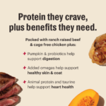 The Honest Kitchen Whole Food Clusters Grain Free Beef & Chicken Protein Plus Clusters Dry Dog Food, photo 4