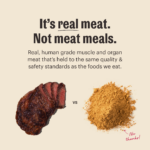 The Honest Kitchen Whole Food Clusters Grain Free Beef & Chicken Protein Plus Clusters Dry Dog Food, photo 5