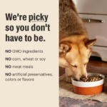 The Honest Kitchen Whole Food Clusters Grain Free Beef & Chicken Protein Plus Clusters Dry Dog Food, photo 7