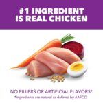 Iams Advanced Health Healthy Digestion Dry Dog Food, photo 5