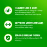 Iams Proactive Health Adult Beef AND Rice Dry Dog Food, photo 6