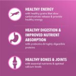Iams Proactive Health Healthy Aging Dry Dog Food, photo 5