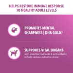 Iams Proactive Health Healthy Aging Dry Dog Food, photo 4