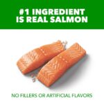 Iams Proactive Health Sensitive Skin & Stomach Adult Salmon Dry Dog Food, photo 4