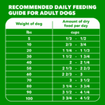 Iams Proactive Health Sensitive Skin & Stomach Adult Salmon Dry Dog Food, photo 7
