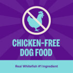 Wellness Core Digestive Health Whitefish & Brown Rice Dry Dog Food, photo 3