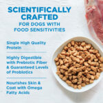 Wellness Core Simple Limited Ingredient Grain-Free Turkey & Potato Recipe Dry Dog Food, photo 3