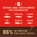 Stella & Chewy’s Wild Red Grain Free : Whole Prey Ocean Fish Recipe, Raw Coated Dry Dog Food, photo 4