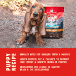 Stella & Chewy’s Wild Red Grain Free Puppy Food: Whole Prey Prairie Poultry Recipe, Raw Coated Dry Dog Food, photo 5