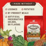 Stella & Chewy’s SuperBlends Beef & Lamb : Raw Blend Oven Baked Kibble with Superfoods, Antioxidants & Probiotics Dry Dog Food, photo 5