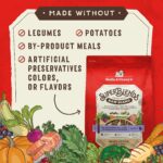 Stella & Chewy’s SuperBlends Raw Blend Puppy Kibble: Chicken, Salmon + Superfoods Dry Dog Food, photo 5