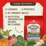 Stella & Chewy’s SuperBlends Whitefish & Salmon : Raw Blend Oven Baked Kibble with Superfoods, Antioxidants & Probiotics Dry Dog Food, photo 6