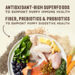 Stella & Chewy’s SuperBlends Raw Blend Puppy Kibble: Chicken, Salmon + Superfoods Dry Dog Food, photo 6