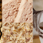Stella & Chewy’s SuperBlends Whitefish & Salmon : Raw Blend Oven Baked Kibble with Superfoods, Antioxidants & Probiotics Dry Dog Food, photo 3