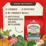 Stella & Chewy’s SuperBlends Whitefish & Salmon : Raw Coated Oven Baked Kibble with Superfoods, Antioxidants & Probiotics Dry Dog Food, photo 4