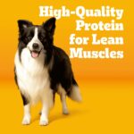Pedigree with MarroBites Adult , Grilled Steak and Vegetable Dry Dog Food, photo 6