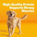 Pedigree Adult , Roasted Chicken & Vegetable Dry Dog Food, photo 4