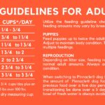 Pinnacle dog recipes Salmon & Pumpkin Recipe Dry Dog Food, photo 2