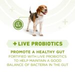 Purina One Plus Whole Body Support Chicken Dry Dog Food, photo 5