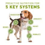 Purina One Plus Whole Body Support Chicken Dry Dog Food, photo 4