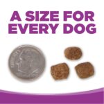 NutriSource Large Breed Puppy Dry Dog Food, photo 6