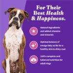 Halo Holistic Healthy Weight Support Grain Free Cage-Free Turkey & Sweet Po Dry Dog Food, photo 9