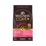 Wellness CORE+ Wholesome Grains Sensitive Skin Stomach Salmon & Rice Dry Dog Food