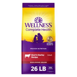 Wellness Complete Health Beef & Barley Dry Dog Food
