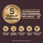 Wellness Core Digestive Health Chicken & Brown Rice Dry Dog Food, photo 3