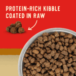 Stella & Chewy’s Raw Coated Kibble Wild Red Raw Coated Wholesome Grains Prairie Recipe Dry Dog Food, photo 3