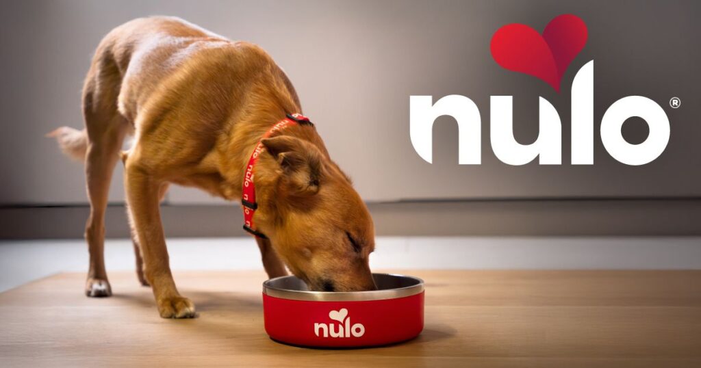 Nulo Culinary Harvest Puppy Chicken & Whitefish Recipe Dry Dog Food