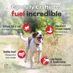 Nulo FreeStyle Senior Trout & Sweet Potato Recipe Dry Dog Food, photo 6