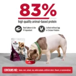 Nulo FreeStyle Small Breed Salmon & Lentils Recipe Dry Dog Food, photo 5