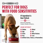 Nulo FreeStyle Limited+ Alaska Pollock & Lentils Recipe Dry Dog Food, photo 4
