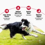 Nulo FreeStyle Limited+ Salmon Recipe Dry Dog Food, photo 5