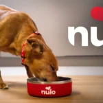 Nulo MedalSeries Large Breed Puppy Baked & Coated Chicken, Duck & Turkey Recipe Dry Dog Food, photo 7
