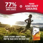 Nulo Frontrunner Ancient Grains Chicken, Oats & Turkey Recipe Dry Dog Food, photo 3