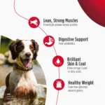 Nulo Frontrunner Ancient Grains Chicken, Oats & Turkey Recipe Dry Dog Food, photo 4