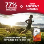 Nulo Frontrunner Ancient Grains Turkey, Trout & Spelt Recipe Dry Dog Food, photo 3