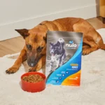 Nulo MedalSeries Ancient Grains Salmon, Oats & Haddock Recipe Dry Dog Food, photo 4