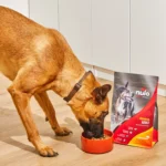 Nulo MedalSeries Small Breed Ancient Grains Salmon, Oats & Acadian Redfish Recipe Dry Dog Food, photo 4