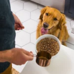 Nulo MedalSeries Large Breed Puppy Baked & Coated Chicken, Duck & Turkey Recipe Dry Dog Food, photo 4