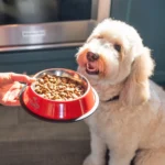 Nulo MedalSeries Puppy Salmon & Lentils Recipe Dry Dog Food, photo 4